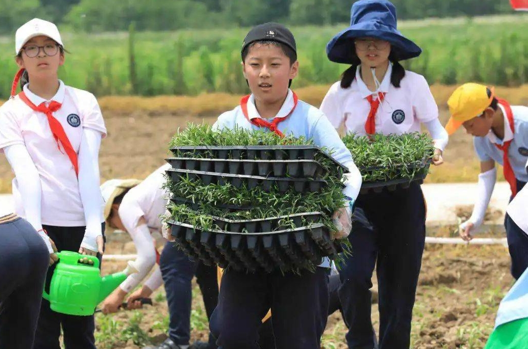 最新通知，事關(guān)全省中小學生！