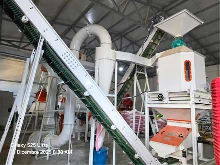 強(qiáng)福機(jī)械25型顆粒飼料線安裝阿爾巴尼亞項(xiàng)目